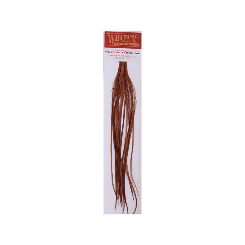 Whiting 100's Saddle - Brown For krokstørrelse #16