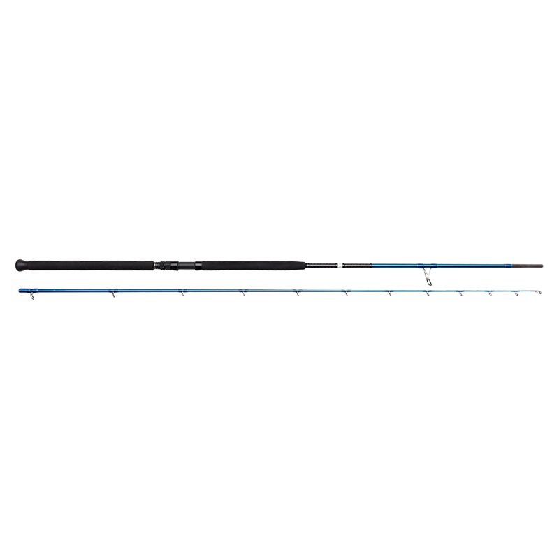 Savage Gear SGS2 Shore Jigging 10' 60-150g