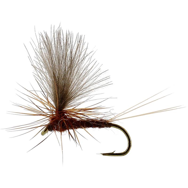 Vespertina Dun Brown #18 TMC100
