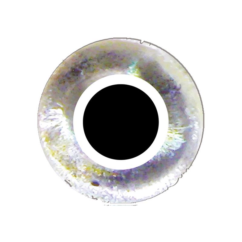 Pro Flexi Eyes Silver 6 mm 56 stk