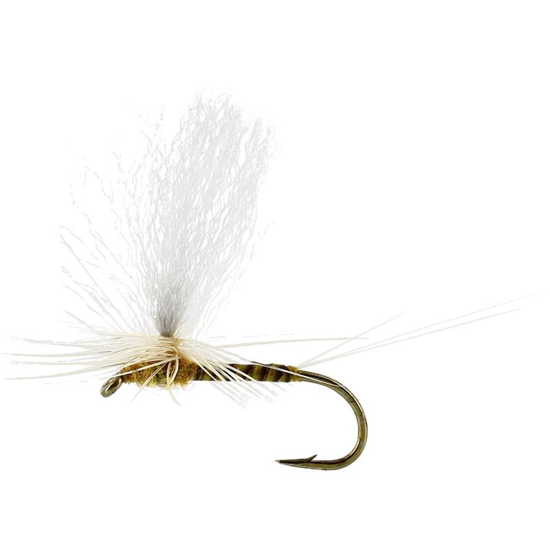 Sulphurea Dun Quill Yellow #12 TMC100