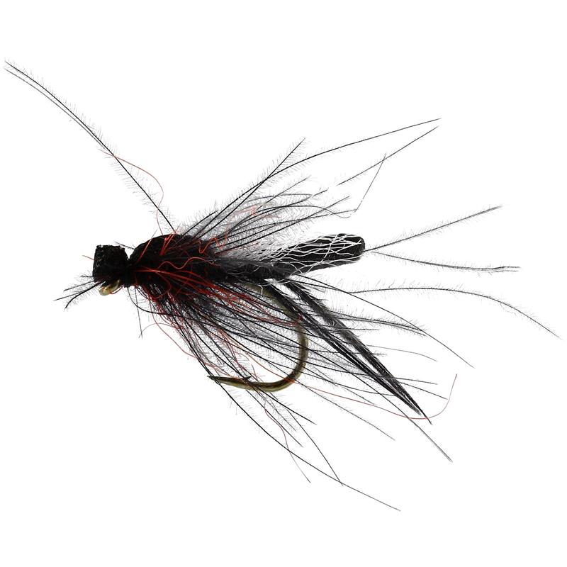 Bibio Pomonae Black #14 TMC2487