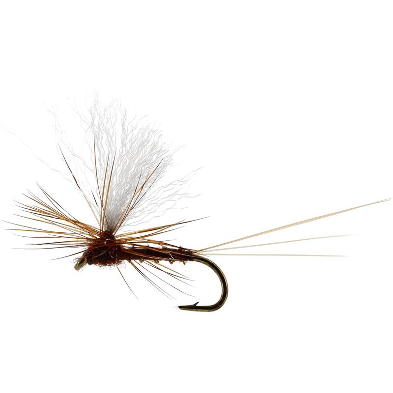 Vespertina Dun Biot Brown #16 TMC100