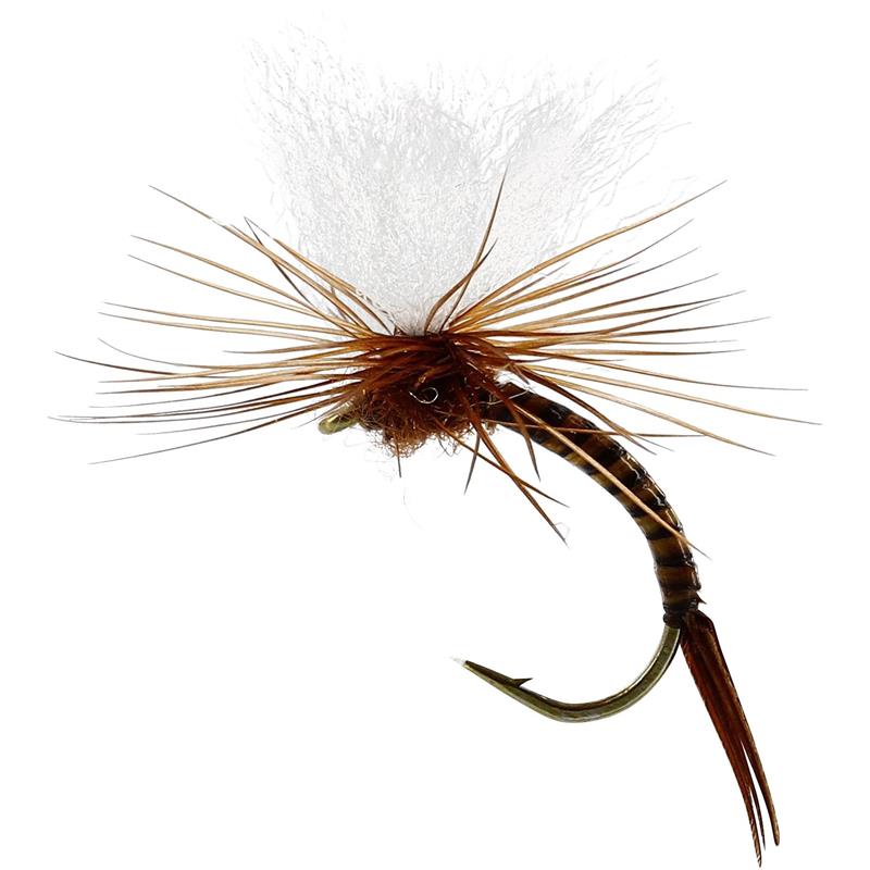 Aurivilli Emerger Quill Brown #13 TMC212TR