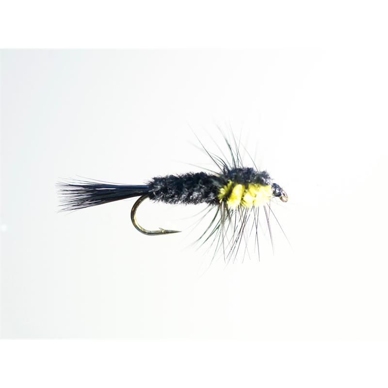 Montana Yellow #8 Dobbelkrok
