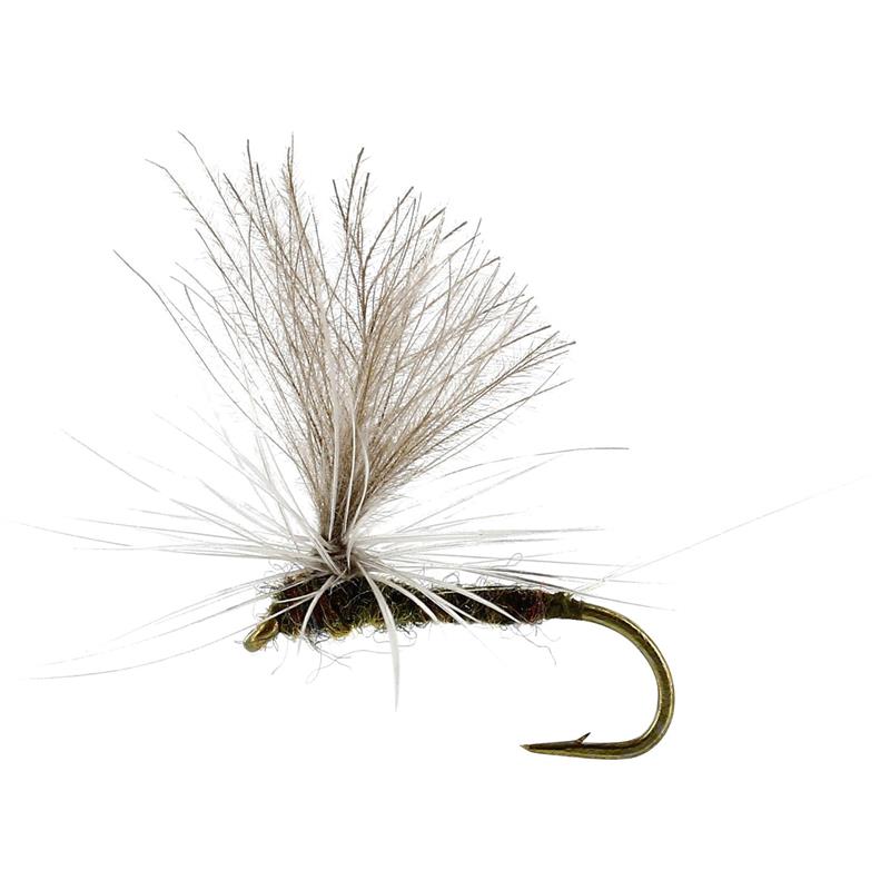 Baetis Dun Olive #18 TMC100